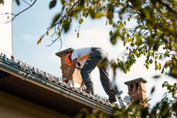 Best Roof Maintenance Services  in Smackover, AR